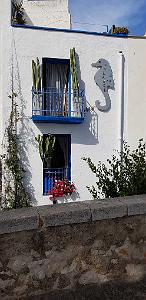 HOMMAGE A N.D. DE SANTA CRUZ A DALIAS DU 7 AU 10 JUIN 2019 (4)
